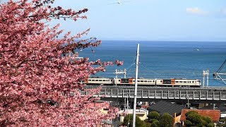 Rail Archives  185系「踊り子号」思い出の記録 （その1 ）東海道線・伊豆急線 2020-3-8制作