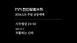 [천안살림교회] 2024.3.31 부활하는 산하