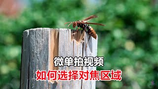 用微单相机拍视频，如何选择对焦区域？使用时需要注意什么