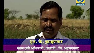 Amchi Mati Amchi Mansa 19 July 2017 ' फलोद्यानाच्या धरता कास विकास होई हमखास.... '