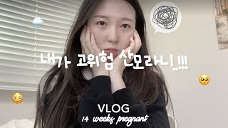 ᴠʟᴏɢ🤰🏻ㅣ 이제는 마지막이 된 14주 임산부브이로그, 고위험산모 확정받았던 날.. 자가면역질환 임산부, 쇼그렌증후군, 임신 14주차 브이로그, 시험관임신vlog