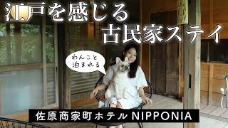 【古民家ホテル】江戸時代の建物をリノベした佐原商家町ホテル NIPPONIAにわんこと一緒に泊まってみた