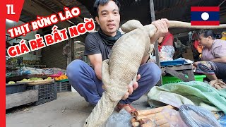 La liệt đồ rừng tại khu chợ Attapeu Lào | Du lịch ẩm thực Lào