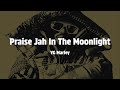 YG Marley - Praise Jah In The Moonlight  (Lyrics)