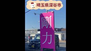 【なま剛力スタジアム】埼玉県深谷市の変な看板突撃