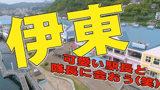 【伊東】道の駅でリゾート気分!?　伊東マリンタウンで駅長マリにゃんに会えた!!