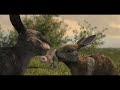 Sam Smith - Fire On Fire (From Watership Down)