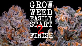 EASIEST WAY TO GROW WEED FROM START TO FINISH (FULLY EXPLAINED) ORGANIC SUPERCOCO | JUST ADD WATER!!