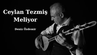 Ceylan Tezmiş Meliyor - Deniz Özdemir - Akustik Performans