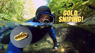 Snorkeling For Gold, In Central Cascades, Near Portland Oregon.