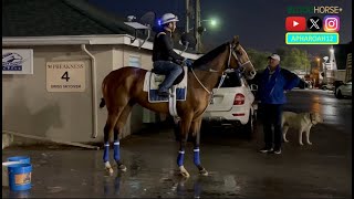 Kentucky Derby Winner Mystik Dan Returns to the Track For First Time Since Derby Triumph