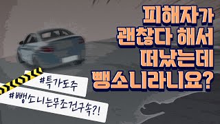 피해자가 괜찮다 해서 떠났는데, 뺑소니 처벌을!? 특가도주의 모든 것