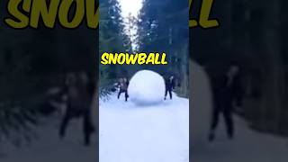 World’s Biggest Snowball⚪