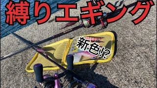 【縛りエギング】newカラーのみ！【前編】釣果はイカに！【鹿児島エギング】