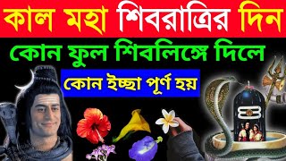 কাল শিবরাত্রির পূজো এই ১টি ফুল পেলে, আপনি কোটিপতি | শিবরাত্রির সংকেত | shivratri 2025 time, Totka