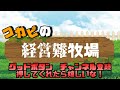 【ダビスタスイッチ】rta中に突然変異の白毛が誕生！この馬から流れが大きく変わった！