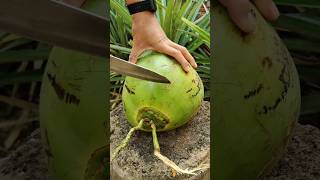 Fresh cutting big coconut #top #shorts #nature