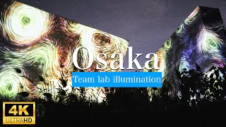 teamLab Botanical Garden at Nagai Park | Immersive 4K Light Experience