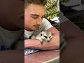 kissing a cute meerkat 🥰