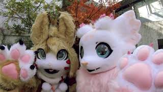 Japan Meeting of Furries 2023  Con Video リト君 きゃわぃぃぃぃ♥【4k,60P】