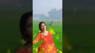 chehre pe tere hai roshan savera 🥰🥰#preeti chaudhary 69 #viral #hindi #song