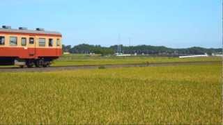 ひたちなか海浜鉄道　暑いレトロ列車運転(2012.08.25)