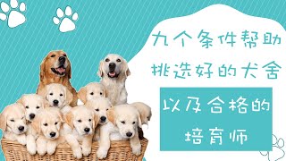 犬舍挑选，九个条件帮助你挑选好的犬舍以及合格的培育师，买狗前的必要功课