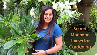 Top 10 Monsoon Hacks for Gardening || Plant care in Monsoon || Don't forget to do this in Monsoon