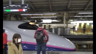 夜の東京駅に到着する東北新幹線上りやまびこE2系