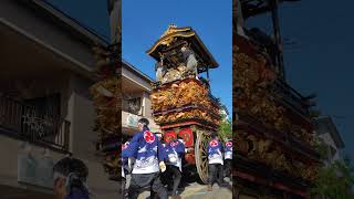 2024.5.5  城端曳山祭 #城端 #曳山祭