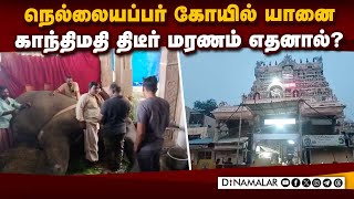 யானைக்கு கண்ணீருடன் அஞ்சலி செலுத்தும் பக்தர்கள் | Gandhi Mathi | Nellaiyappar Temple Elephant