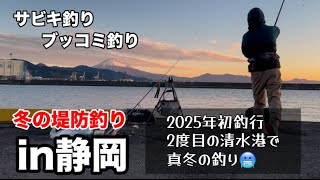 【静岡】1月の清水港で真冬の堤防釣り調査！江尻埠頭2025.1.11