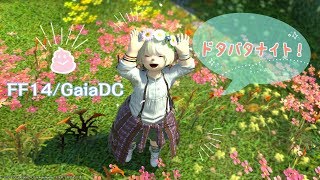 【FF14/Gaia】おぎのドタバタナイト