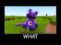 Minecraft wait what meme part 322 realistic minecraft CatNap Poppy Playtime