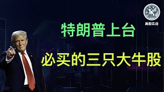 特朗普新政下的三只中小市值潜力股，2025年要起飞！｜特朗普经济政策｜美国本土企业｜减税红利｜金融监管放松｜传统能源｜2025超额收益｜投资策略