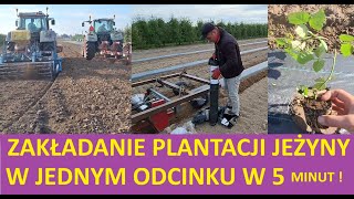 Zakładanie Plantacji Jeżyny Deserowej od Podstaw Po Efekty Końcowy Odcinek 6 minut !