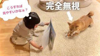 My daughter wants to read a book to Shiba Inu