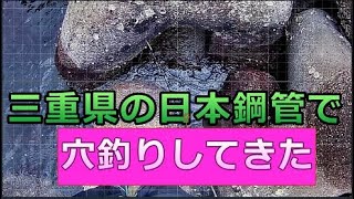 三重県津市の日本鋼管のテトラで穴釣り（サクッとできる手軽な釣り）