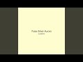 Pulse Silver Aurora