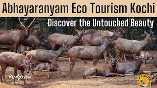 Discover the Untouched Beauty of Abhayaranyam Eco-Tourism, Kaprikkad near Kochi, Kerala