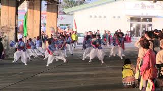 第一回よさこい東海道沼津祭り(2019/11/9)「よさこい塾・ありがた屋」