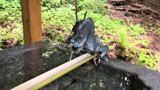 長野県長野市戸隠神社⛩宝光社