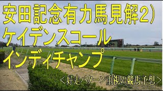 安田記念週中有力馬見解２）　ケイデンスコール　インディチャンプ　＜好走パターン重視の競馬予想＞