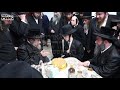 tolna rebbe celebrates his daughter s engagement with rachmastrivka rebbe nissan 5783