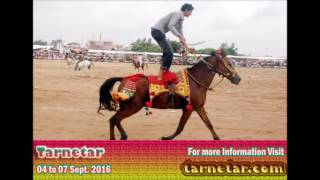 Tarnetar Fair 2016