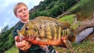 Fishing for the most Beautiful Fish in Zimbabwe (Bank Fishing Adventure in the African Bush)