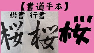 【書道手本】桜  ～楷書・行書～