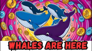 The SHOCKING Truth About How Crypto Whales MANIPULATE Retail Investors