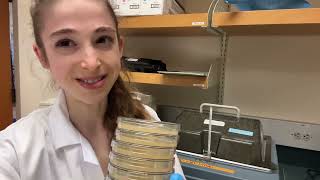 Practical tips for pouring plates: cool LB/Agar in a 55C water bath \u0026 remember the stir bar!