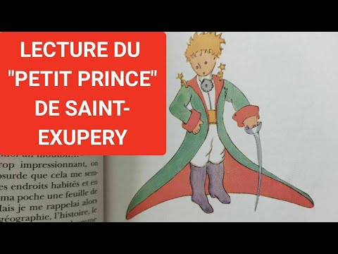 LE PETIT PRINCE - D'Antoine De Saint Exupery - Livre Audio - YouTube